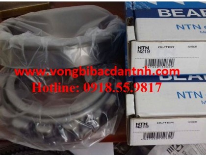 VÒNG BI-BẠC ĐẠN-NTN N219